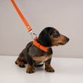 Load image into Gallery viewer, Dog Leads