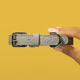 Load image into Gallery viewer, Dog Collars