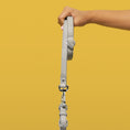 Load image into Gallery viewer, Dog Leads