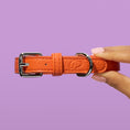 Load image into Gallery viewer, Dog Collars