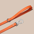 Load image into Gallery viewer, Dog Leads