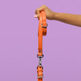 Load image into Gallery viewer, Dog Leads