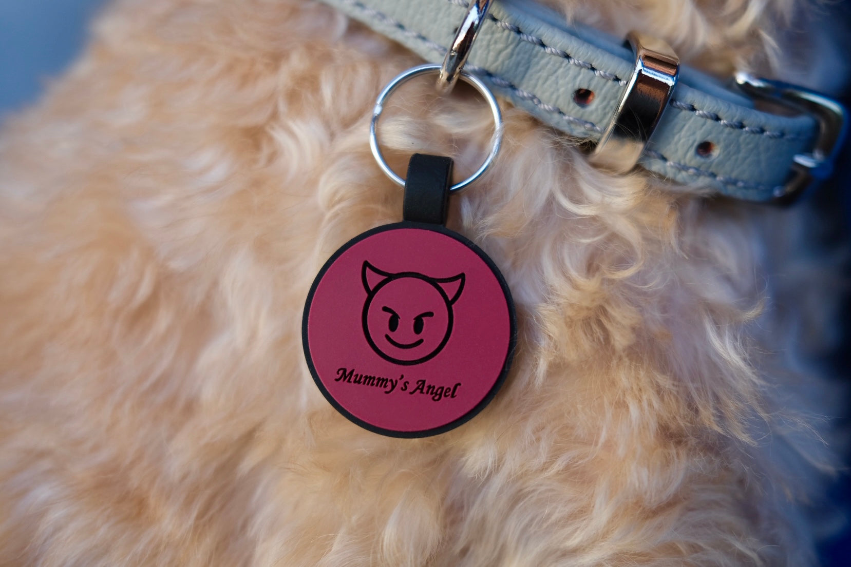 Truffle & Paw - Personalised Silicone Circle Dog ID Tag