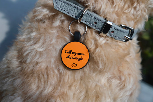 SiliTag® Circle ID Tag